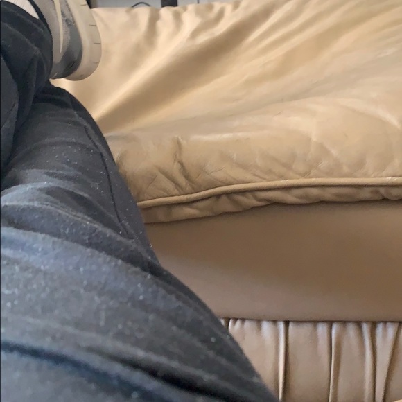 Meet your Posher, Mitchell - Picture 1 of 1